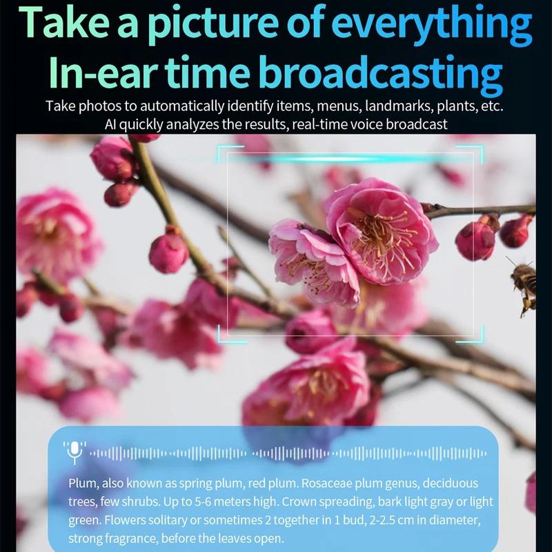 Women AI Smart Glasses 800W HD Camera Anti Blue Light The Map Translation Video Call Take Photos UV Protection Sunglasses Men Wearable Mj