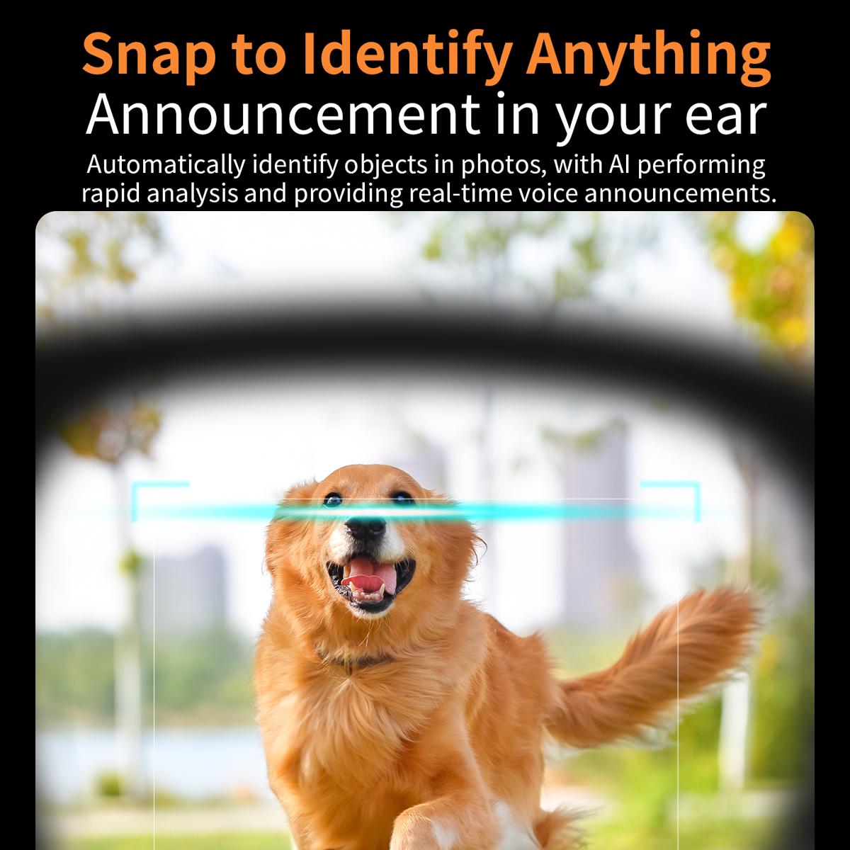 Smart Glasses, AI V3, with 8MP Camera, Compatible with ChatGPT
Features: Bluetooth Calls, Voice Assistant, Video Recording, Music Player