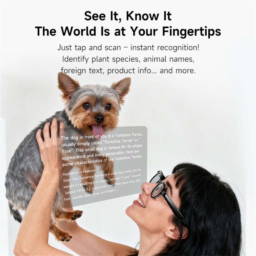 How Smart Glasses, AI Technology, Real-Time Translation, Dual Camera, Bluetooth Calling, Sunglasses, Audio Capture, Video and Music Player, Multifunctional, For Men Can Transform Your Daily Routine